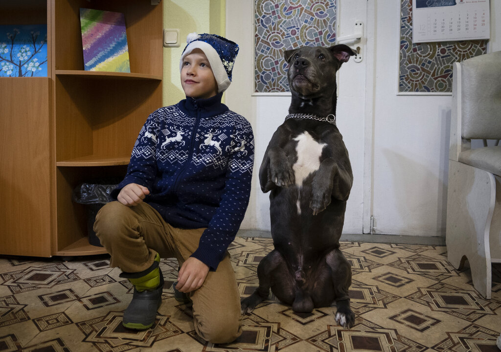 A boy poses for photo with an American Pit Bull Terrier "Bice" in the Center for Social and Psychological Rehabilitation in Boyarka close Kyiv, Ukraine