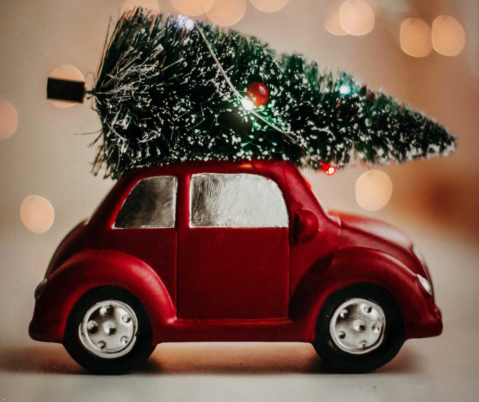 Tree On top of car