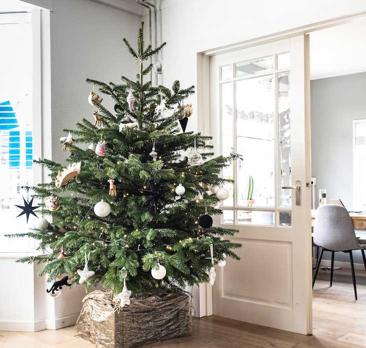 christmas tree