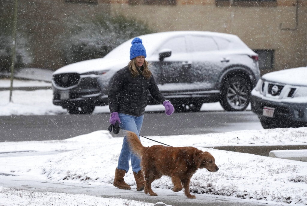 With SuperCold Weather, How To Keep Your Furry Friend Safe & Healthy