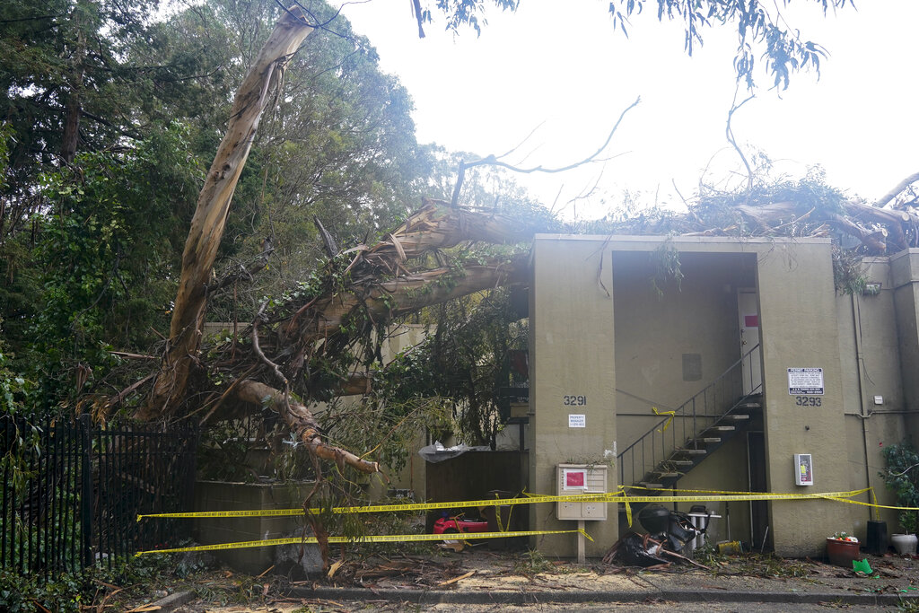 Damage to an apartment building can be seen after a tree toppled over in Oakland, Calif.