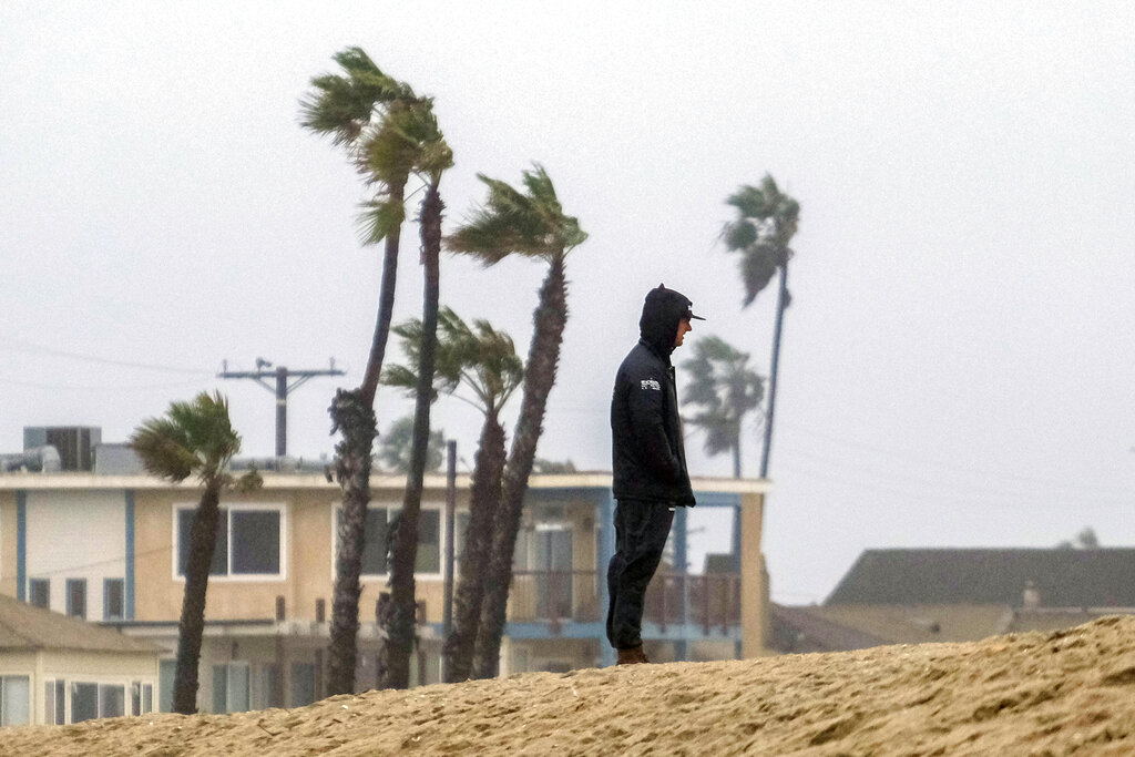 Wind blows the palm trees in the background, a man stands on the storm surge protection dune during a rainstorm in Seal Beach, Calif.