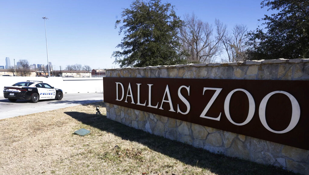 A Dallas police vehicle sit at an entrance at the Dallas Zoo
