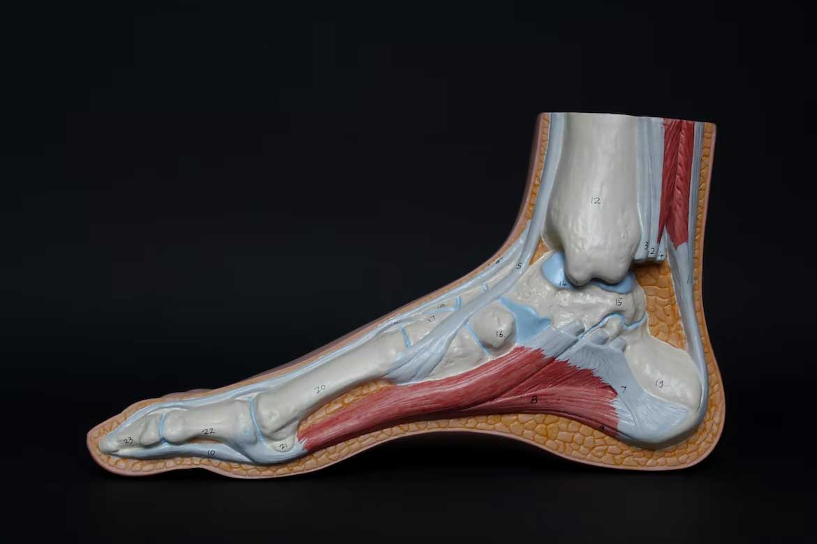 Why You May Experience Foot Pain While Working From Home - Vimarsana News