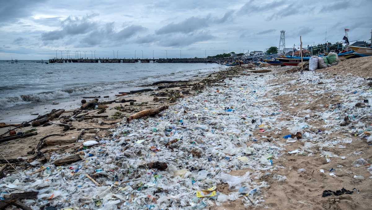 In recent years, governments around the world have announced policies to reduce the volume of single-use plastic.