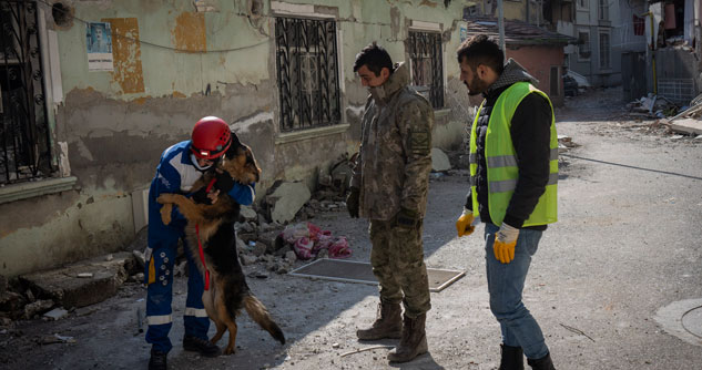 Man in red helmet embraces German Shepherd while two men look at them.