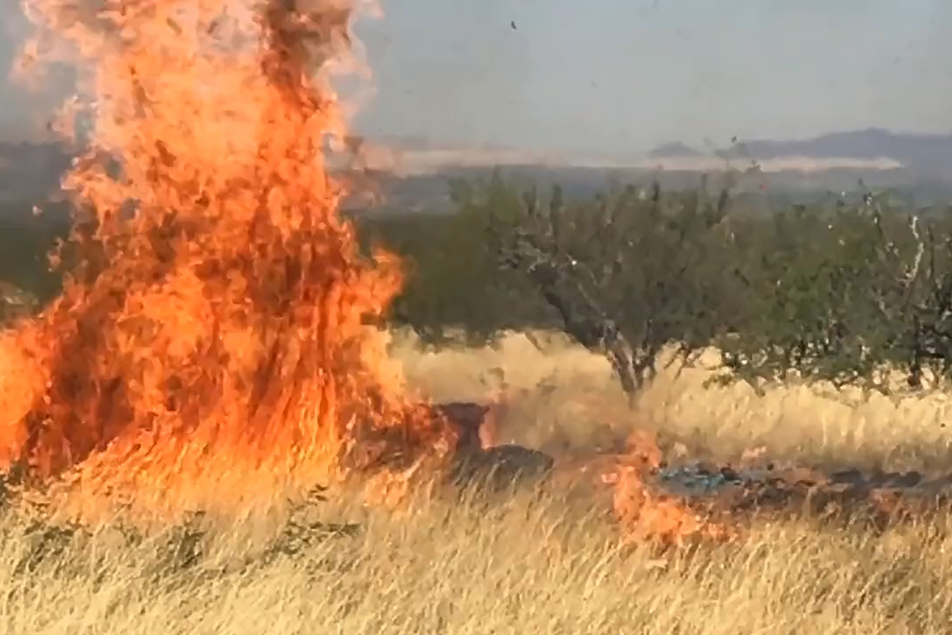 Some gender reveal parties take dangerous turn